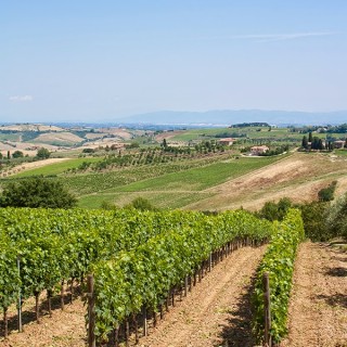 strada del vino nobile di montelpuciano