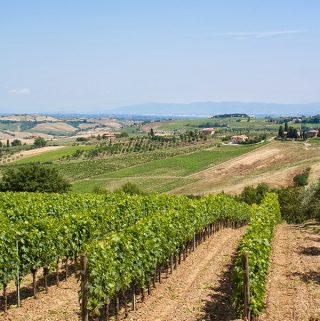 strada del vino nobile di montelpuciano