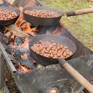 sagra castagne lupinaia