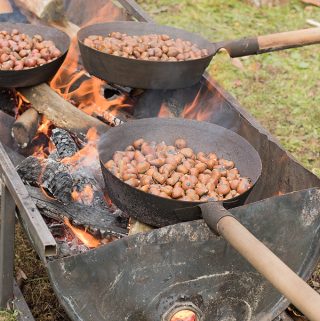 sagra castagne lupinaia