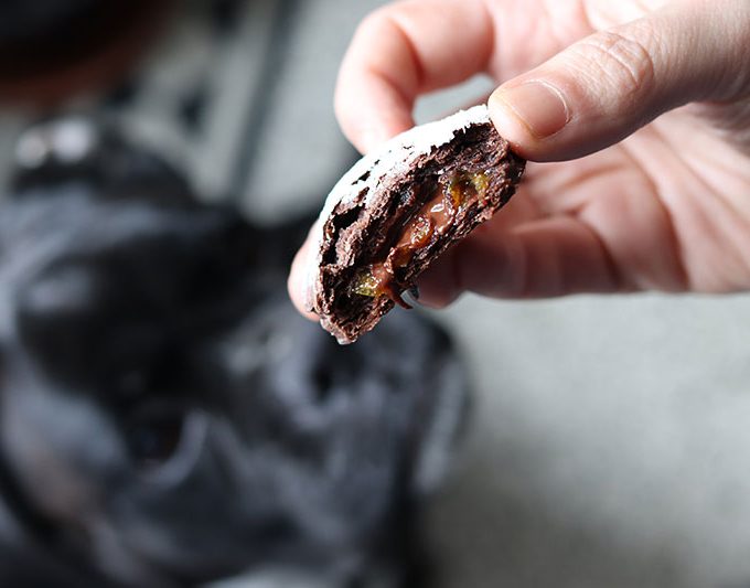 lilo e i biscotti al cacao ripieni
