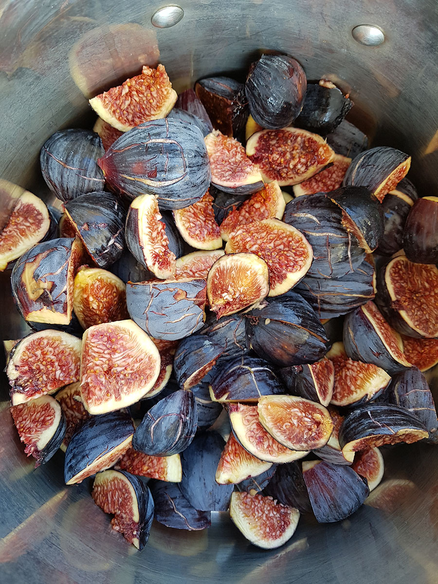 the black fig food blog