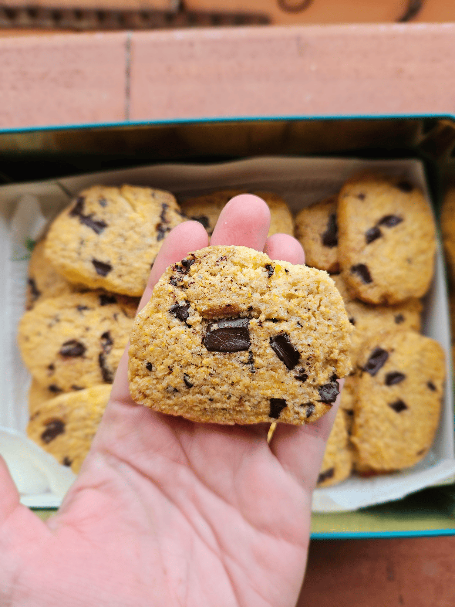 Biscotti cocco, cioccolato e mais