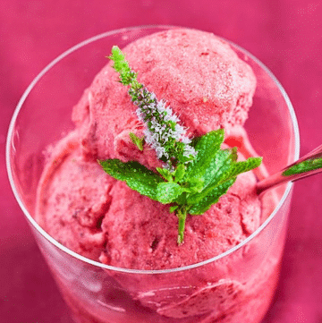 sorbetto susine fatto in casa