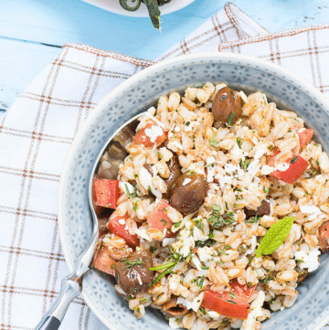 ricetta insalata farro erbe aromatiche